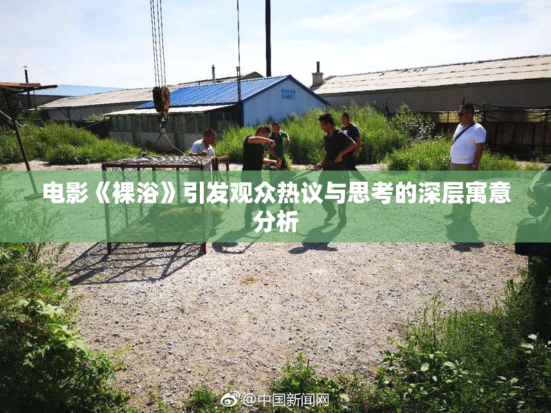 电影《裸浴》引发观众热议与思考的深层寓意分析