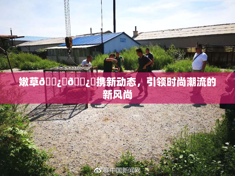 嫩草🌿‌🌿‌携新动态，引领时尚潮流的新风尚