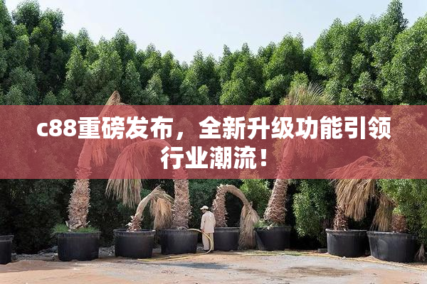 c88重磅发布，全新升级功能引领行业潮流！