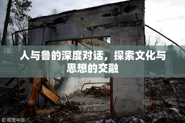 人与鲁的深度对话，探索文化与思想的交融