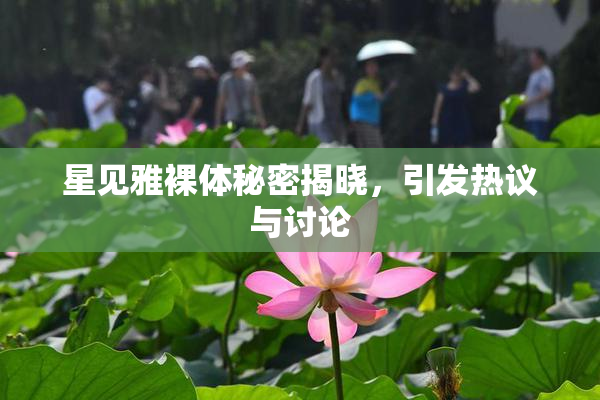 星见雅裸体秘密揭晓，引发热议与讨论