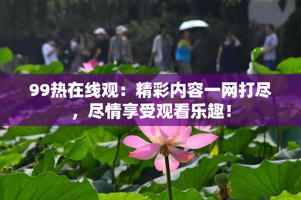 99热在线观：精彩内容一网打尽，尽情享受观看乐趣！