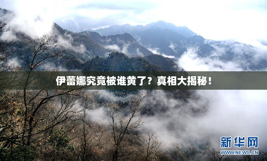 伊蕾娜究竟被谁黄了？真相大揭秘！