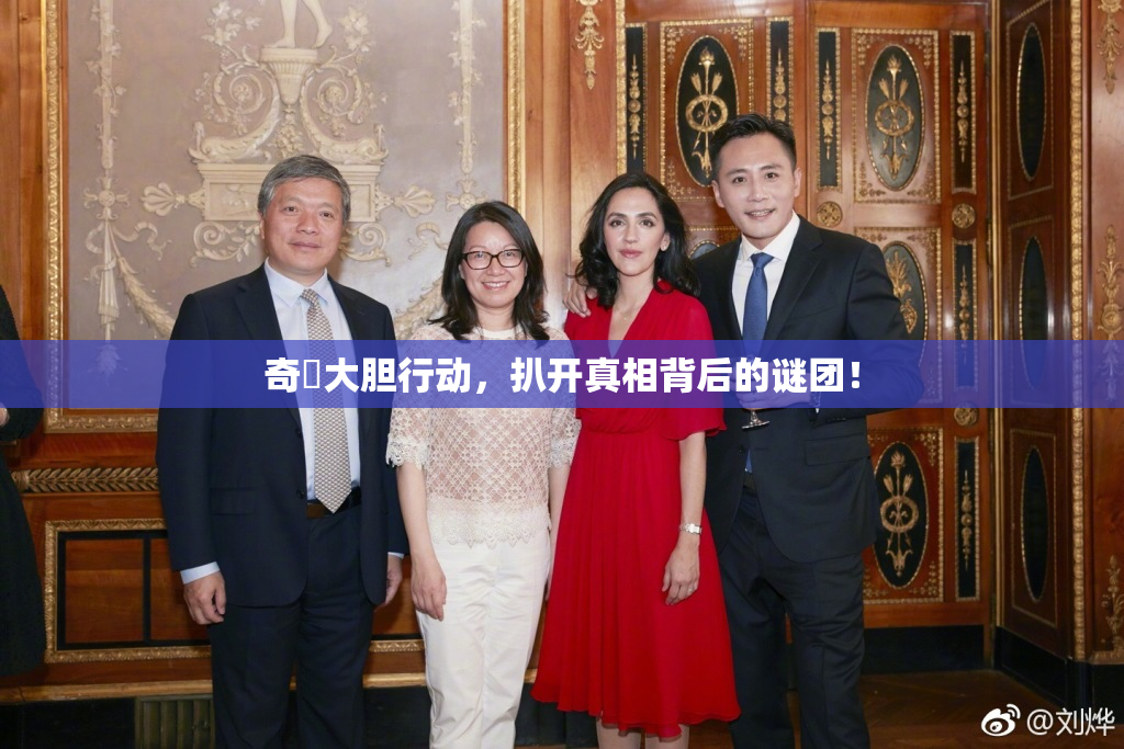 奇犽大胆行动，扒开真相背后的谜团！
