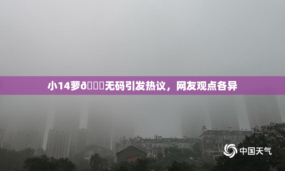 小14萝🔞无码引发热议，网友观点各异