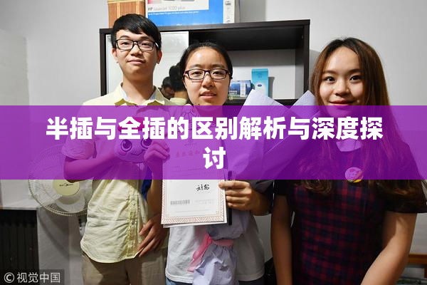 半插与全插的区别解析与深度探讨