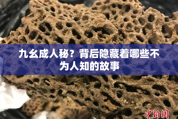 九幺成人秘？背后隐藏着哪些不为人知的故事