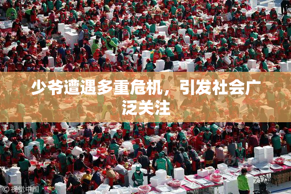 少爷遭遇多重危机，引发社会广泛关注