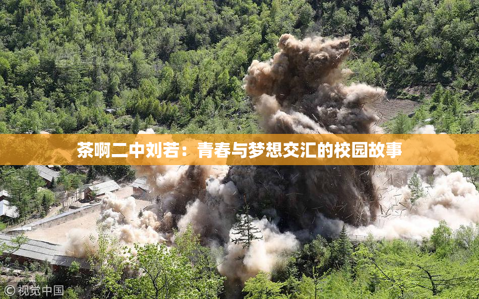 茶啊二中刘若：青春与梦想交汇的校园故事