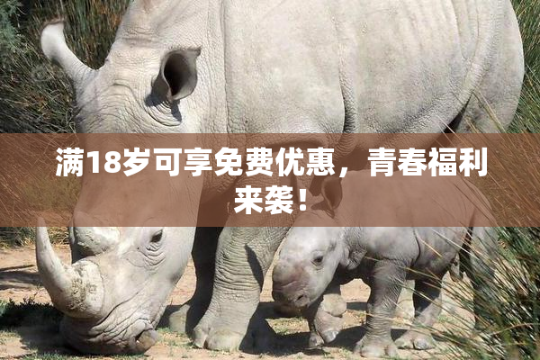 满18岁可享免费优惠，青春福利来袭！