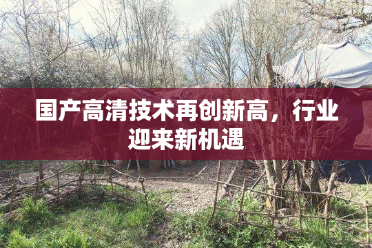 国产高清技术再创新高，行业迎来新机遇