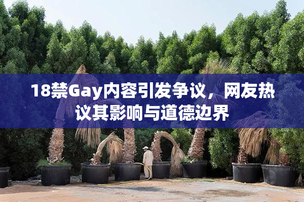 18禁Gay内容引发争议，网友热议其影响与道德边界