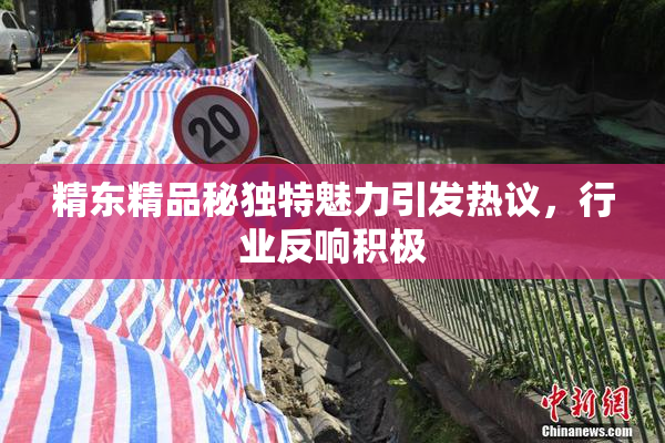 精东精品秘独特魅力引发热议，行业反响积极