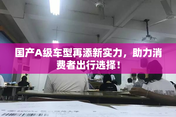 国产A级车型再添新实力，助力消费者出行选择！