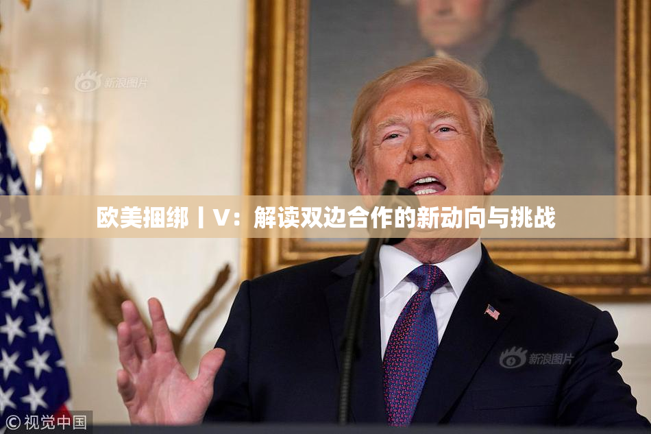 欧美捆绑丨V：解读双边合作的新动向与挑战