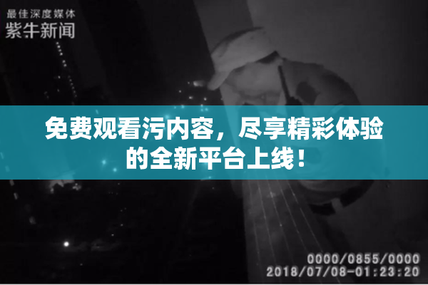 免费观看污内容，尽享精彩体验的全新平台上线！