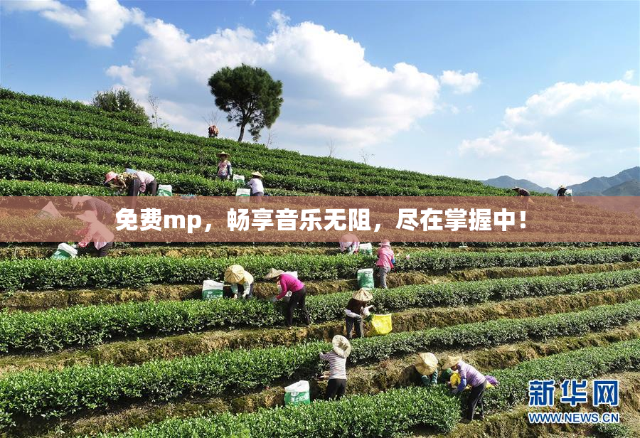 免费mp，畅享音乐无阻，尽在掌握中！