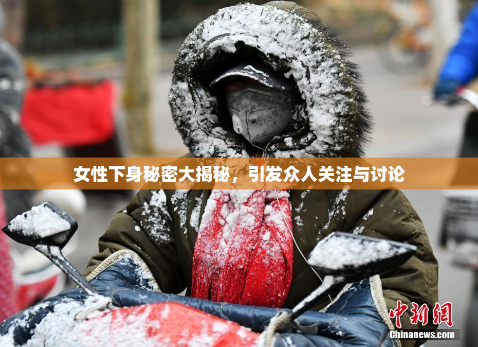 女性下身秘密大揭秘，引发众人关注与讨论