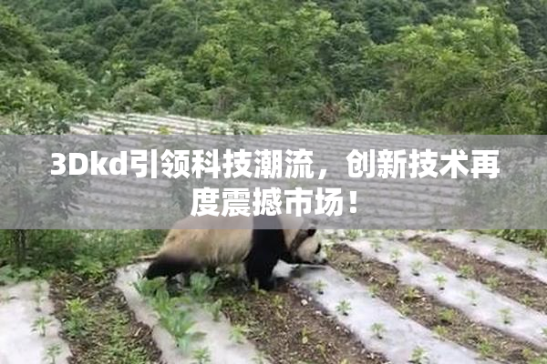 3Dkd引领科技潮流，创新技术再度震撼市场！