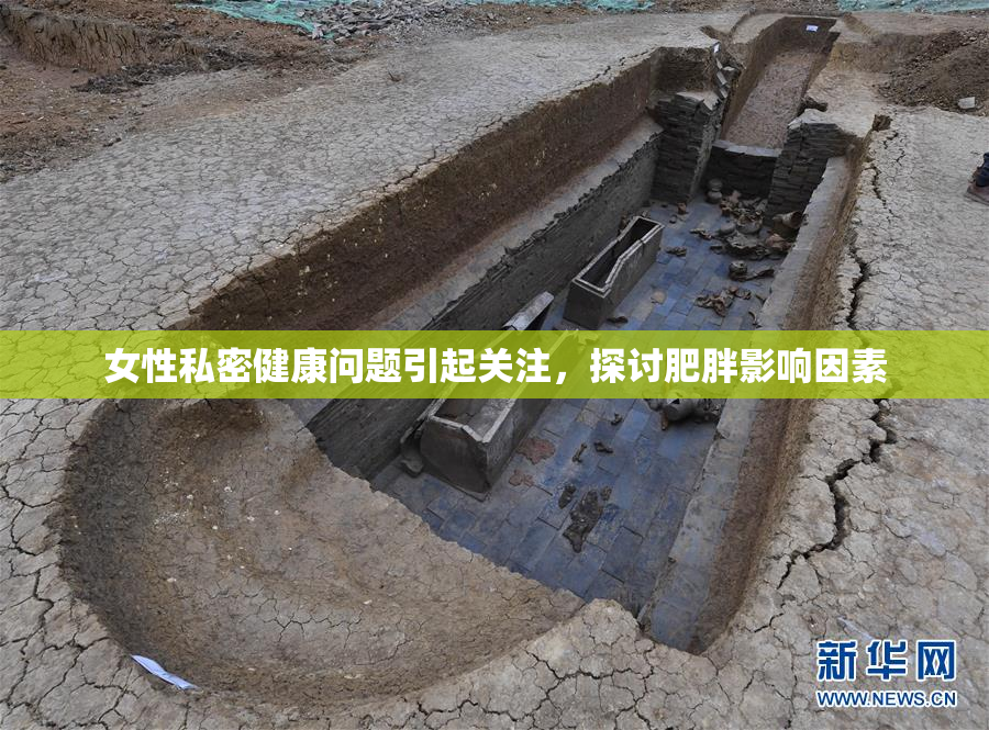 女性私密健康问题引起关注，探讨肥胖影响因素