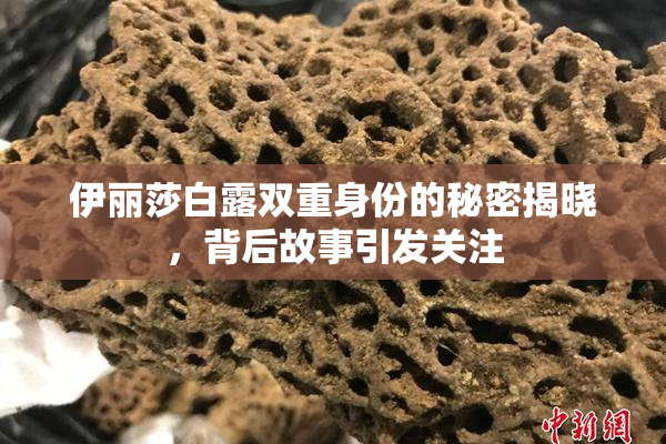 伊丽莎白露双重身份的秘密揭晓，背后故事引发关注