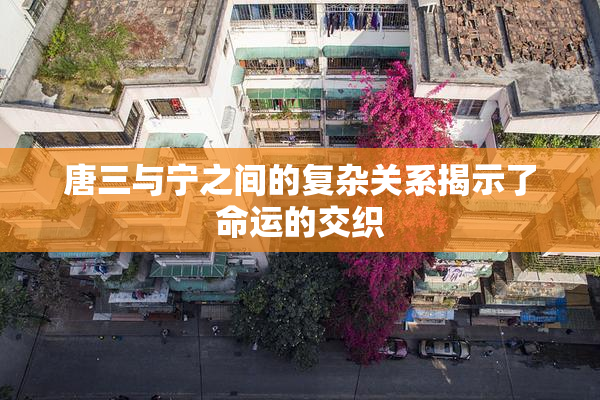唐三与宁之间的复杂关系揭示了命运的交织