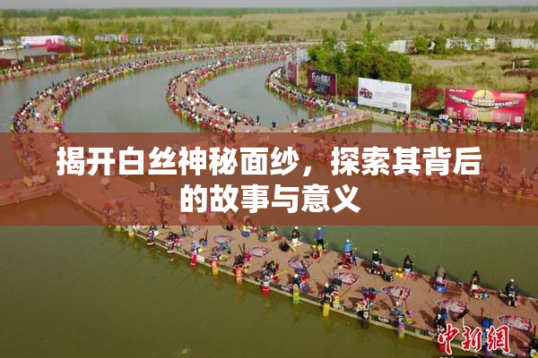 揭开白丝神秘面纱，探索其背后的故事与意义