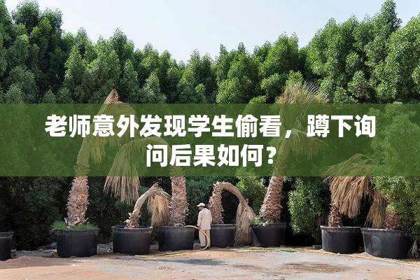老师意外发现学生偷看，蹲下询问后果如何？