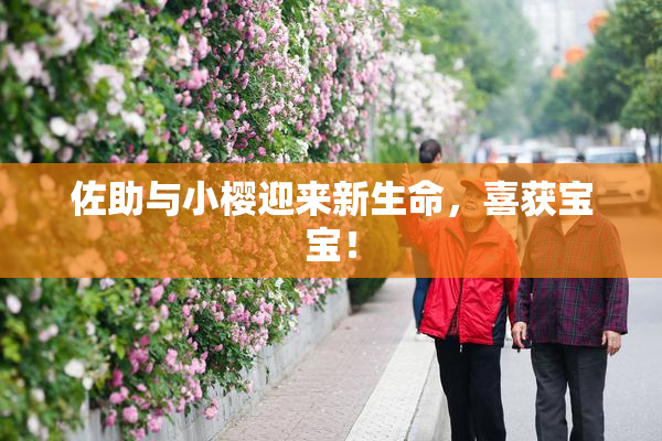 佐助与小樱迎来新生命，喜获宝宝！