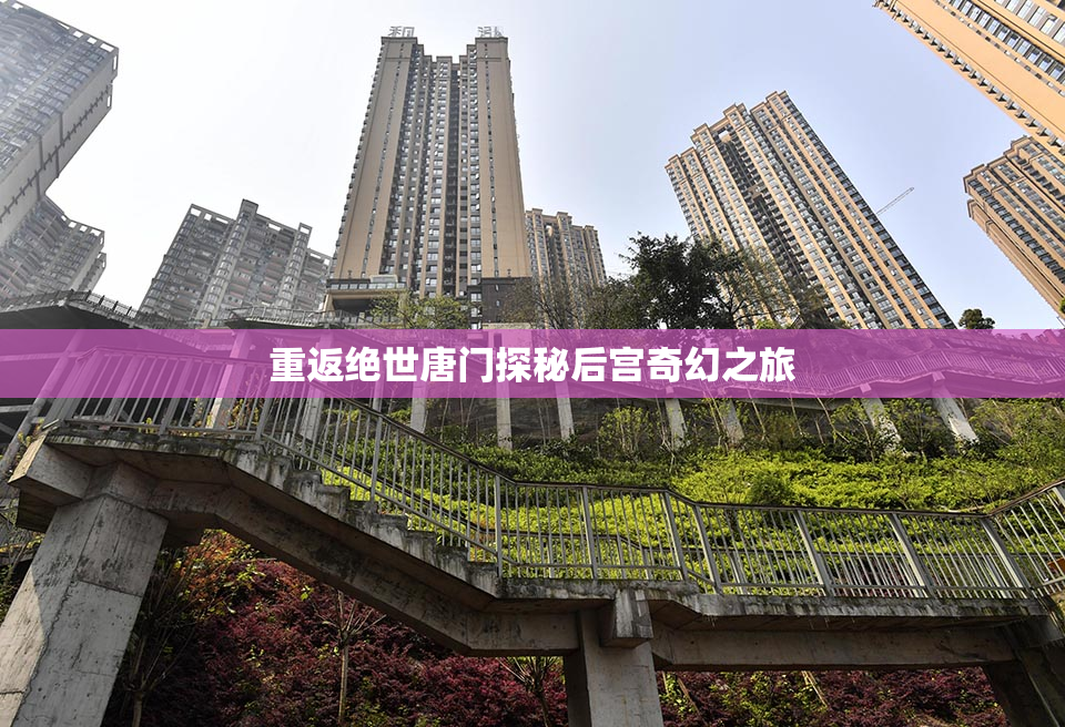 重返绝世唐门探秘后宫奇幻之旅