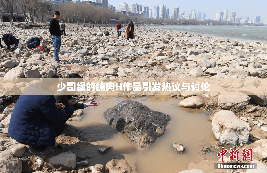 少司缘的纯肉H作品引发热议与讨论