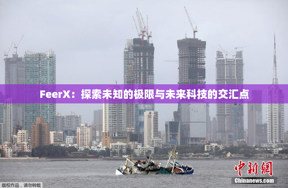 FeerX：探索未知的极限与未来科技的交汇点