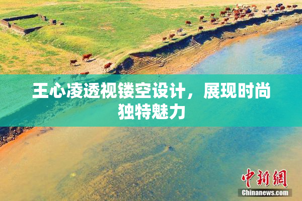 王心凌透视镂空设计，展现时尚独特魅力