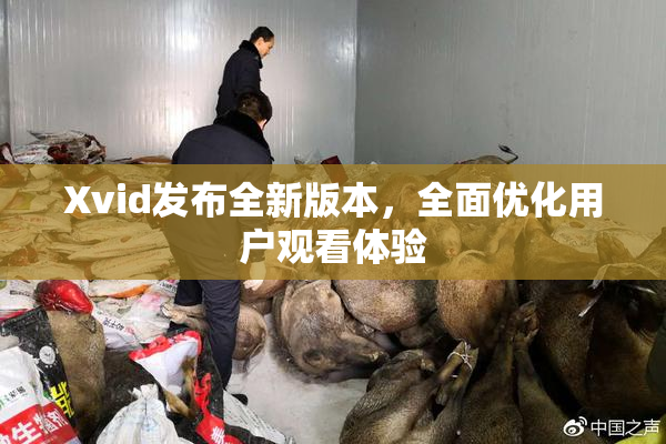 Xvid发布全新版本，全面优化用户观看体验
