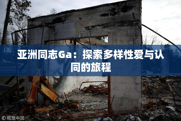 亚洲同志Ga：探索多样性爱与认同的旅程