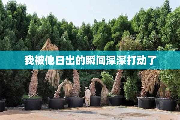 我被他日出的瞬间深深打动了