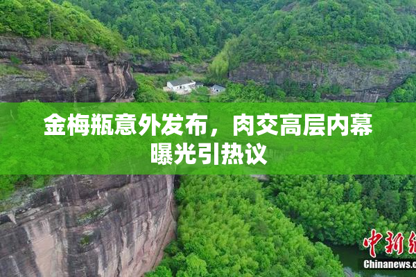 金梅瓶意外发布，肉交高层内幕曝光引热议