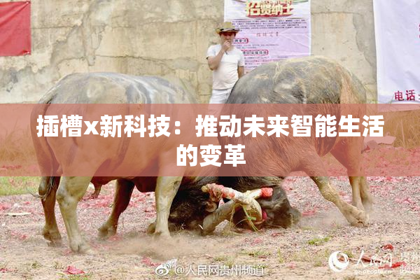 插槽x新科技：推动未来智能生活的变革