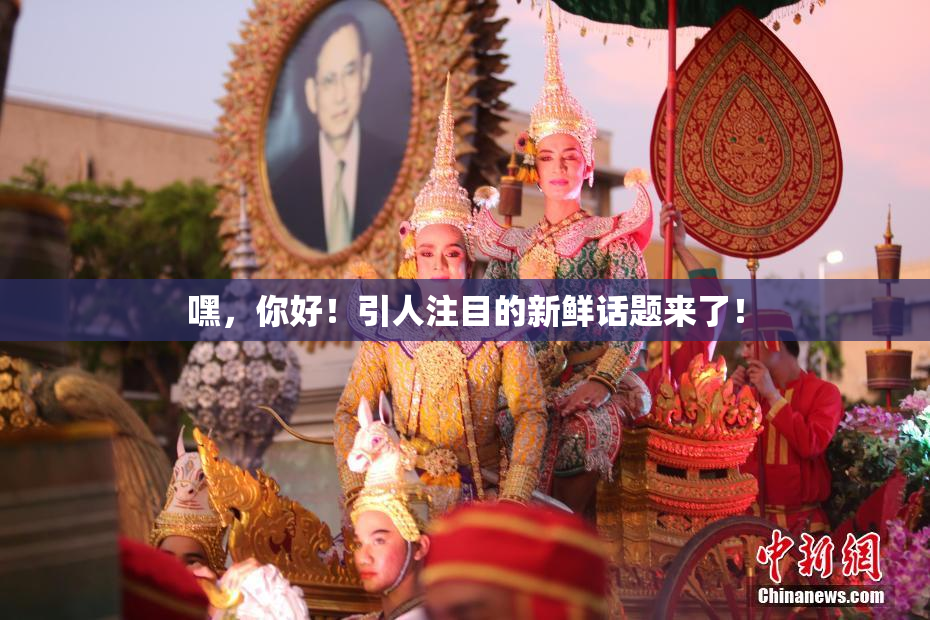 嘿，你好！引人注目的新鲜话题来了！