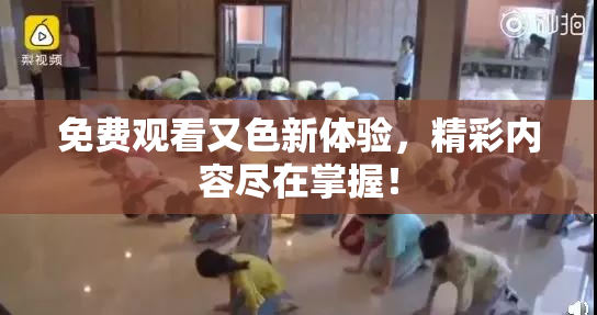 免费观看又色新体验，精彩内容尽在掌握！