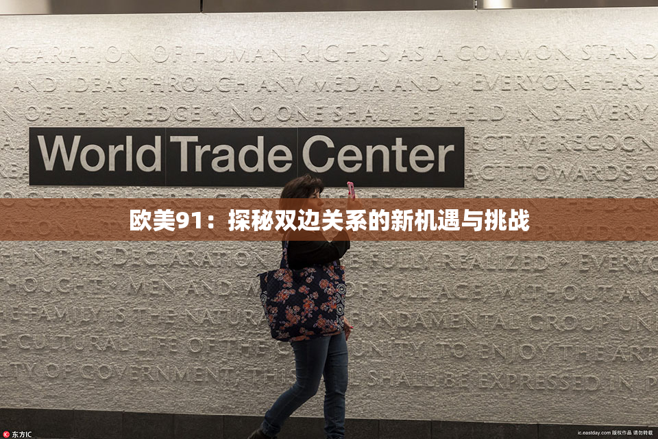 欧美91：探秘双边关系的新机遇与挑战