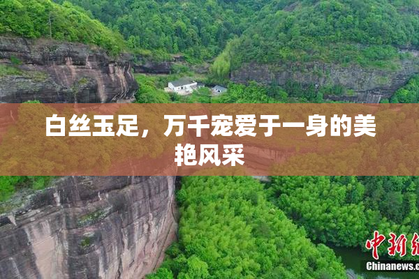 白丝玉足，万千宠爱于一身的美艳风采