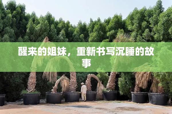 醒来的姐妹，重新书写沉睡的故事