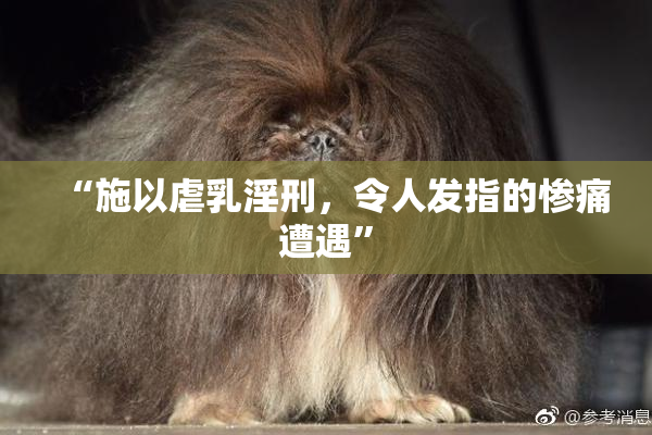 “施以虐乳淫刑，令人发指的惨痛遭遇”
