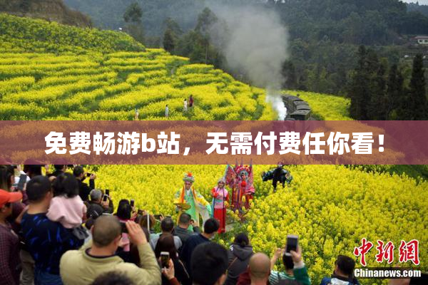 免费畅游b站，无需付费任你看！