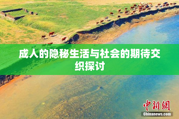 成人的隐秘生活与社会的期待交织探讨