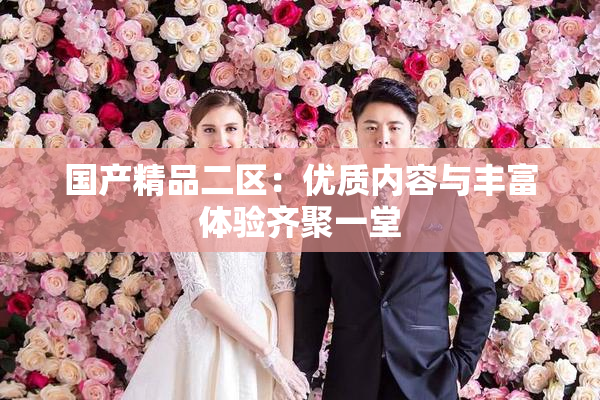 国产精品二区：优质内容与丰富体验齐聚一堂
