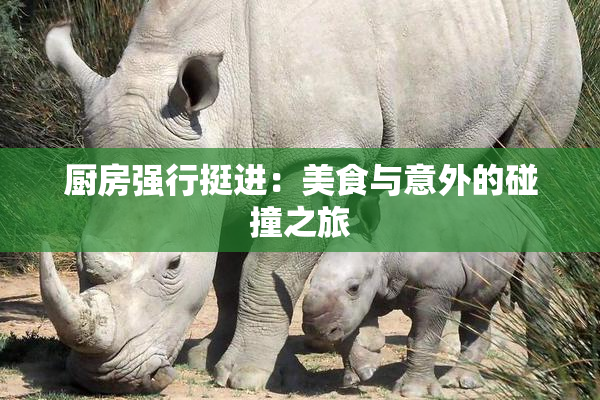 厨房强行挺进：美食与意外的碰撞之旅