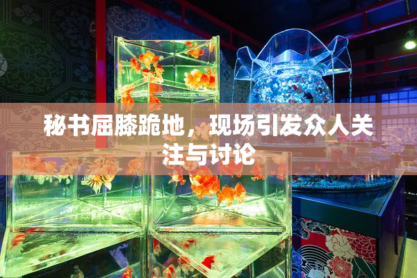 秘书屈膝跪地，现场引发众人关注与讨论