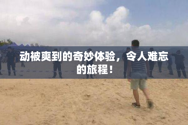 动被爽到的奇妙体验，令人难忘的旅程！